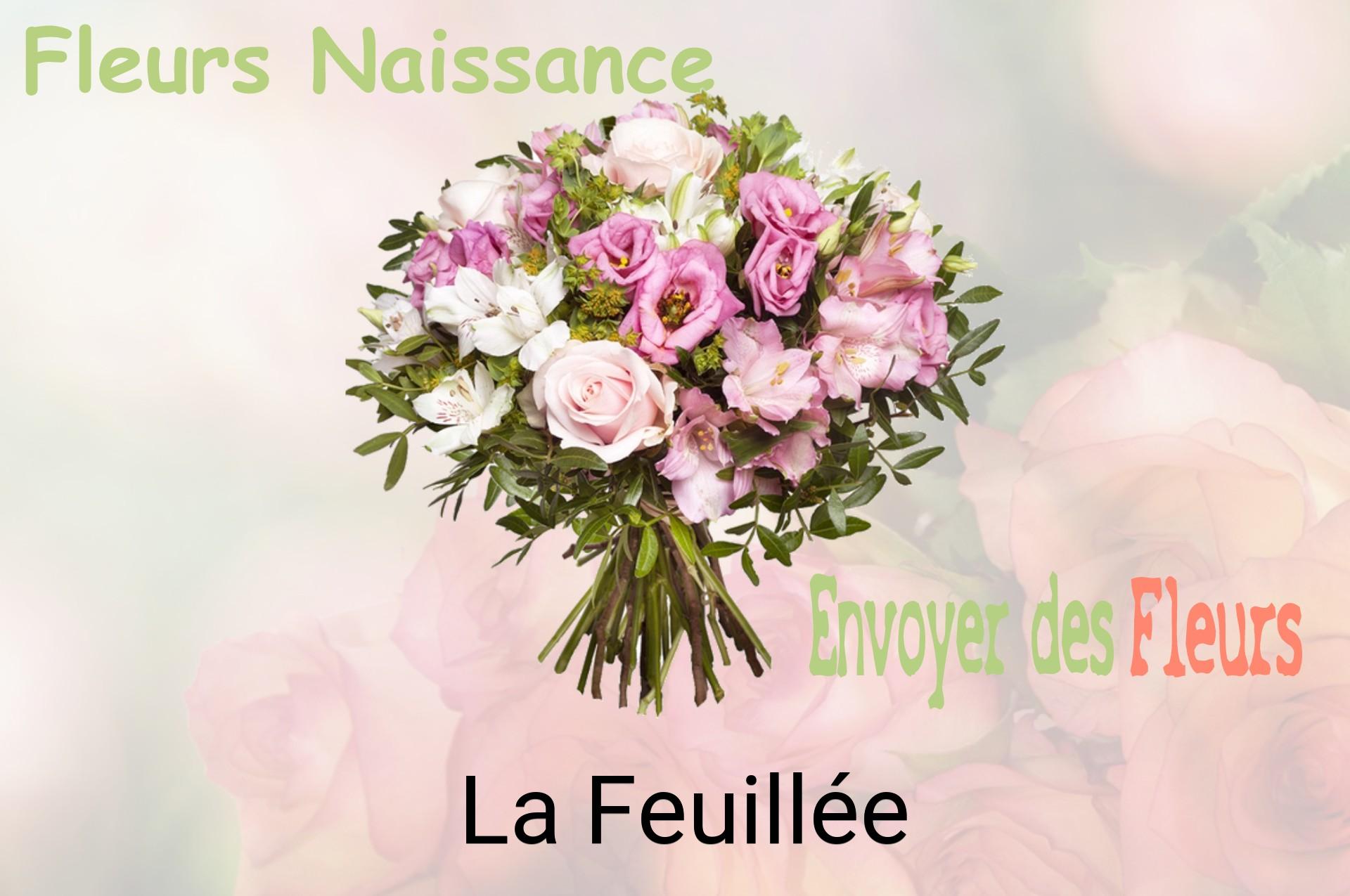Bouquet de fleurs de naissance livré à La Feuillée